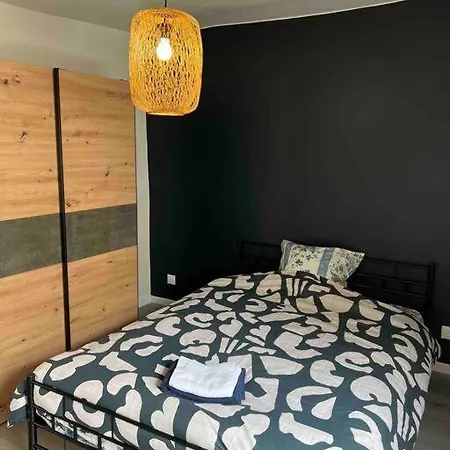 Grand Loft Renove En Centre-ville Apartment *